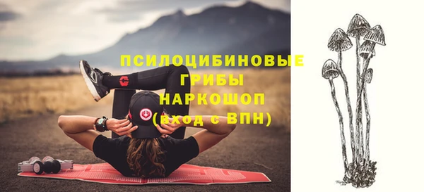 скорость mdpv Кукмор