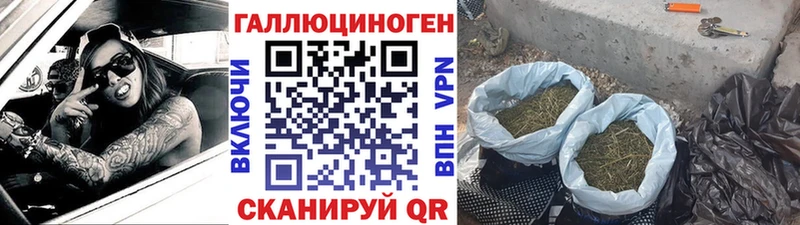 Галлюциногенные грибы мухоморы  Купить где  Волоколамск 